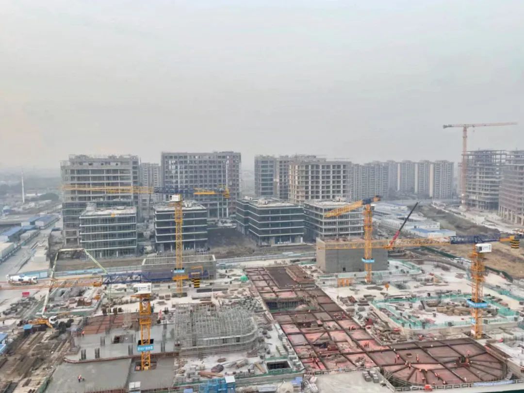 “大虹桥”区域内，这个重大产业项目新年新进展！